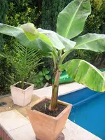 DSCN3251.webp