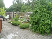 gärtsche 012.webp