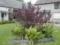 traurige_peruecke.webp