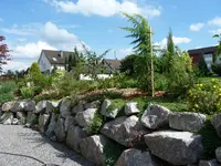 Mauer mit Zedern.webp