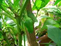 Bild 017.webp