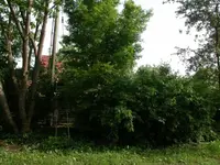 DSCN1007.webp