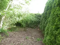 DSCN1014.webp