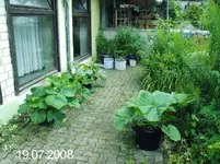 Kübelanbau.webp