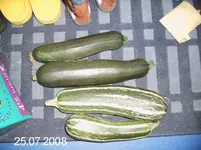 ernte1.webp