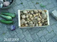 Ernte28072008.webp