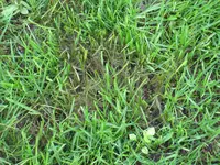 IMG_1498.webp