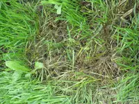 IMG_1499.webp