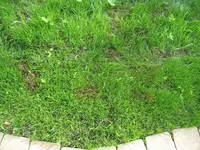 IMG_1501.webp