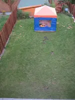 Gartenansicht17.06.2008 (2).webp