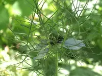 CIMG3892.webp