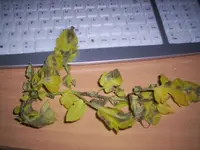 000_0771.webp