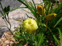 P1000456.webp