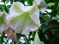 DSCN0317.webp