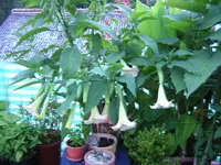 DSCN0327.webp