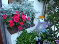 DSCN0329.webp