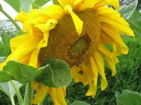 k-IMG_0663.webp