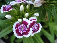IMG_2048.webp