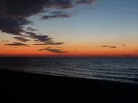 P1050235.webp
