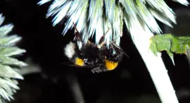 DSC00142 - 2010-07-23 - schlafplatz.webp