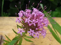 IMG_9017_1024x768.webp