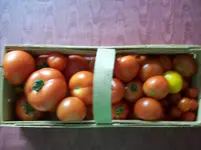 100_1463.webp