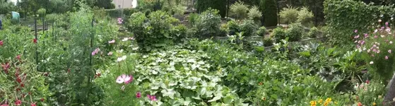 Garten 007 [800x600].webp