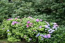 IMG_2216.webp