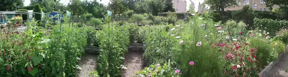 Garten 006.webp
