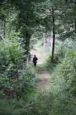 Auf der Pirsch.. (4).webp