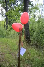 Luftballons am Pirsch Stock.webp