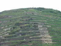 Mosel.webp