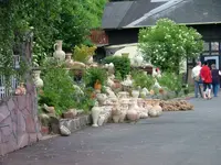 Mosel (3).webp