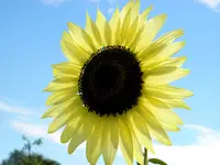 P8010020.webp