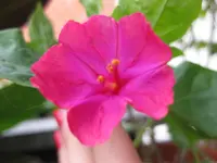 IMG_2174.webp