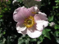 IMG_1038.webp IMG_1038.webp