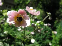 IMG_1046.webp IMG_1046.webp