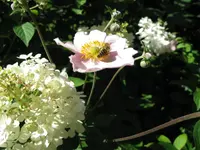 IMG_1048.webp IMG_1048.webp