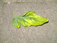 BILD1419.webp