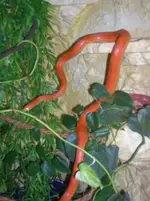DSCN3792.webp