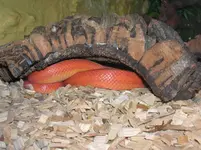 DSCN3801.webp