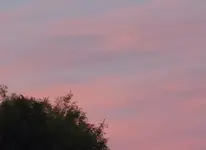 P1040700.webp