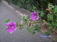 BILD0667.webp