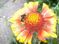 BILD0674.webp
