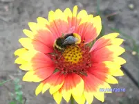 BILD0675.webp