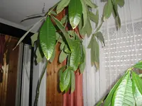 DSC01030.webp