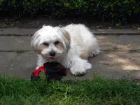 SDC11969.webp