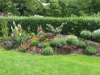 IMG_7632.webp