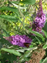 IMG_7637.webp