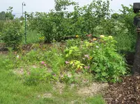IMG_7640.webp